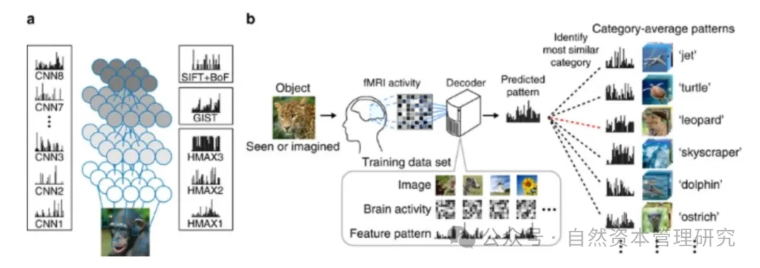 人与自然的信息交互