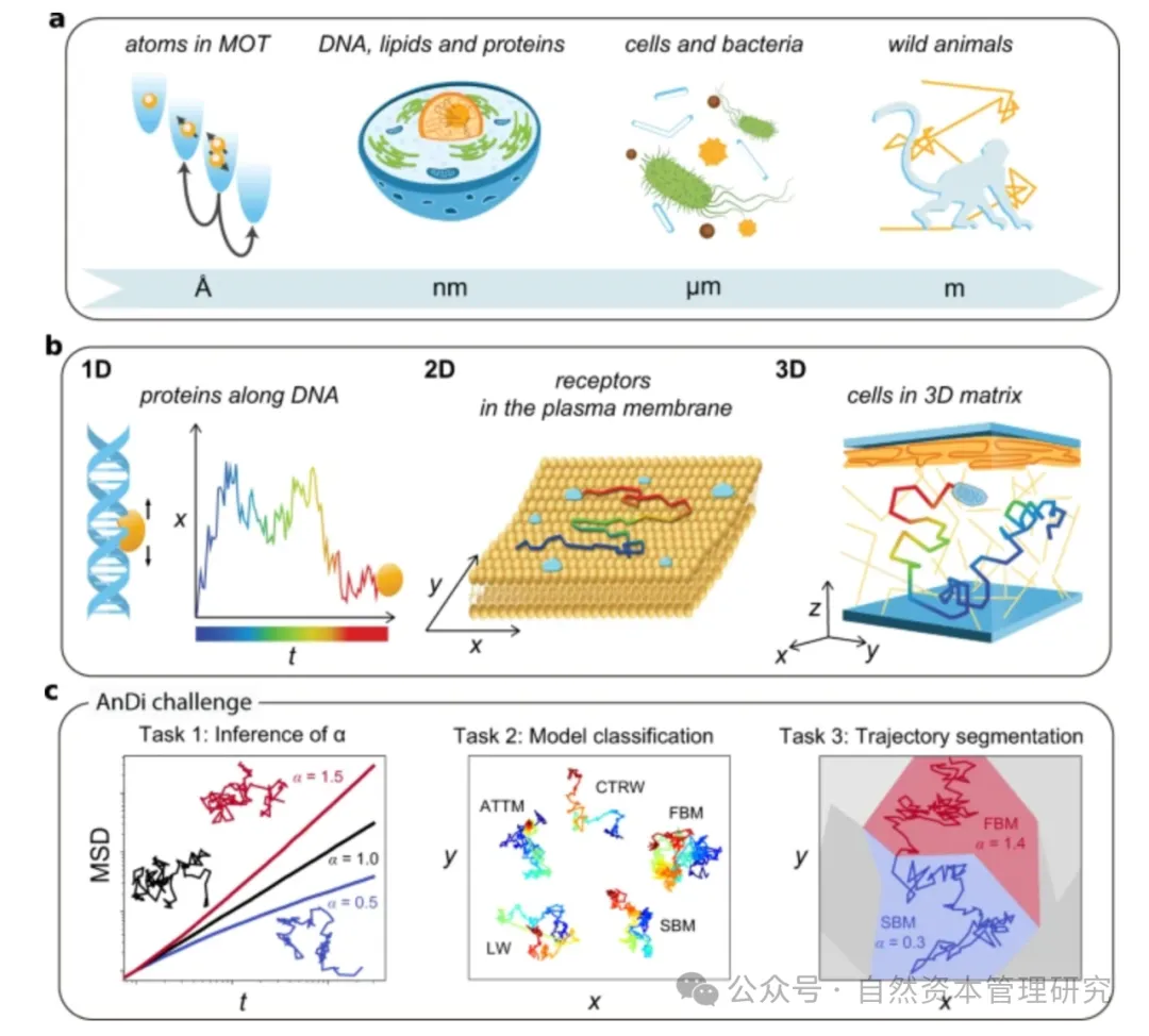 人与自然的信息交互