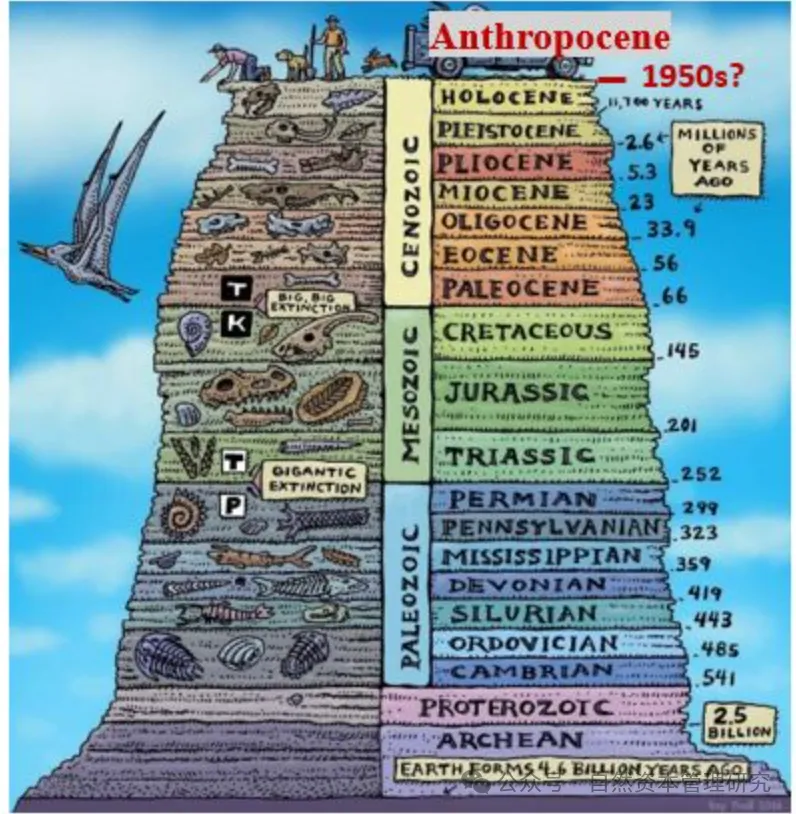 人类世经济范式