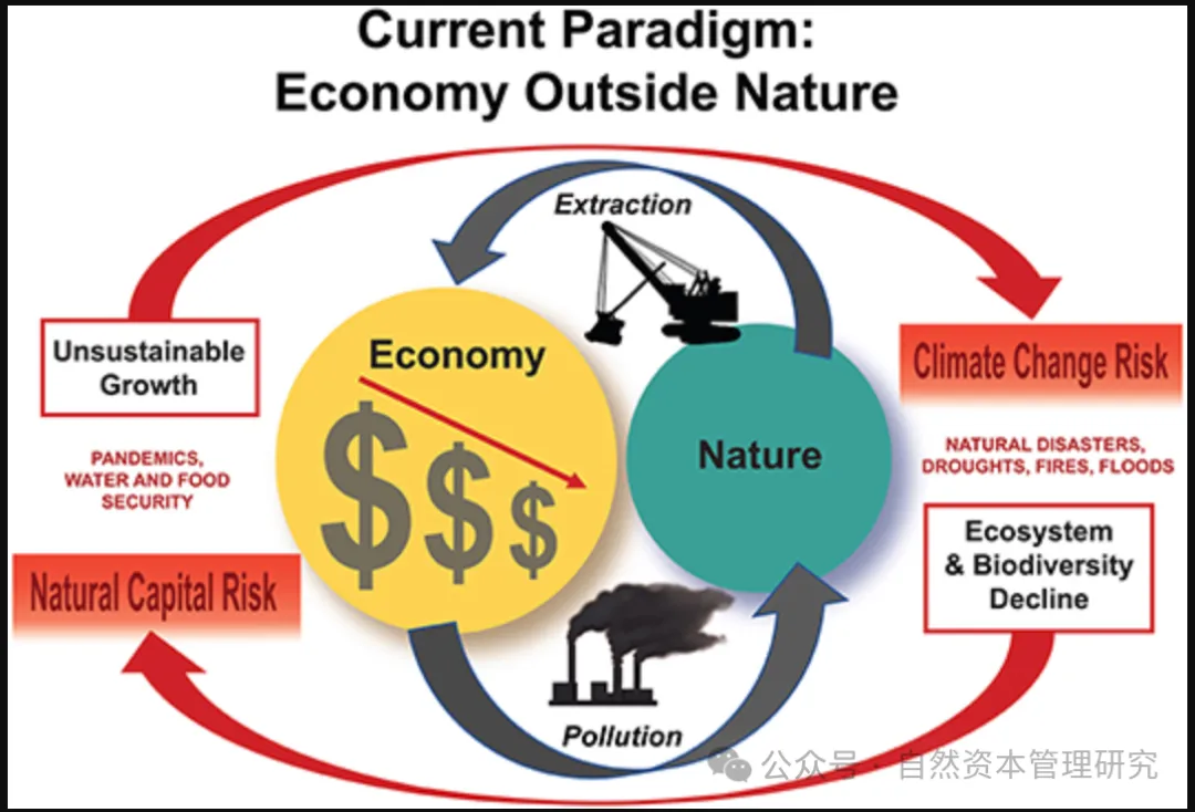 人类世经济范式