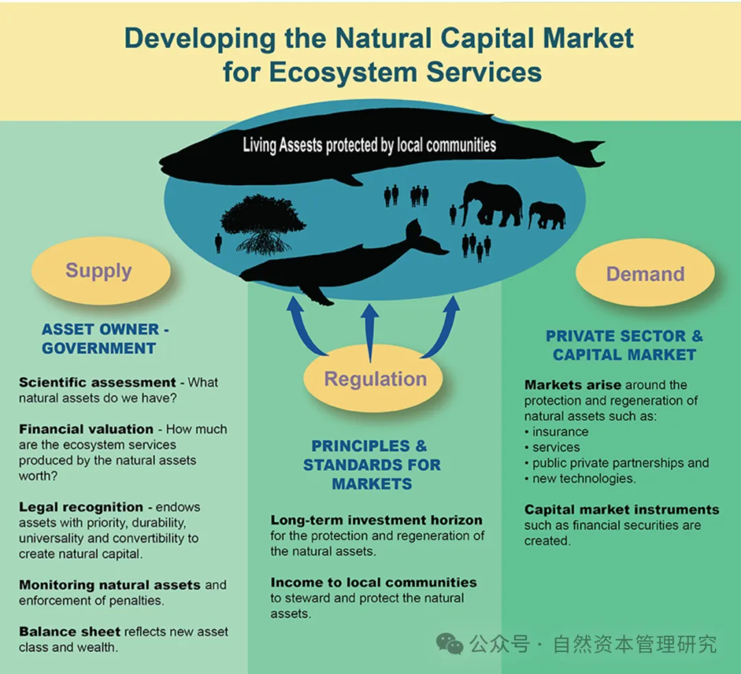 人类世经济范式