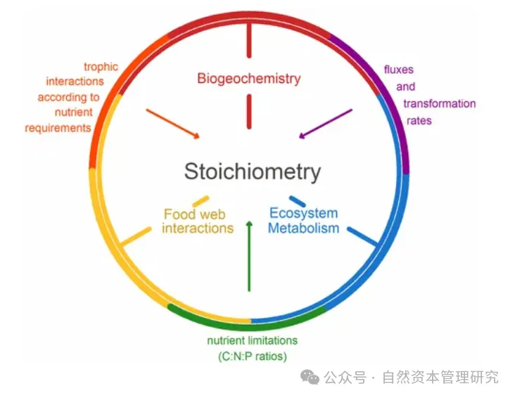 自然资本价值形成