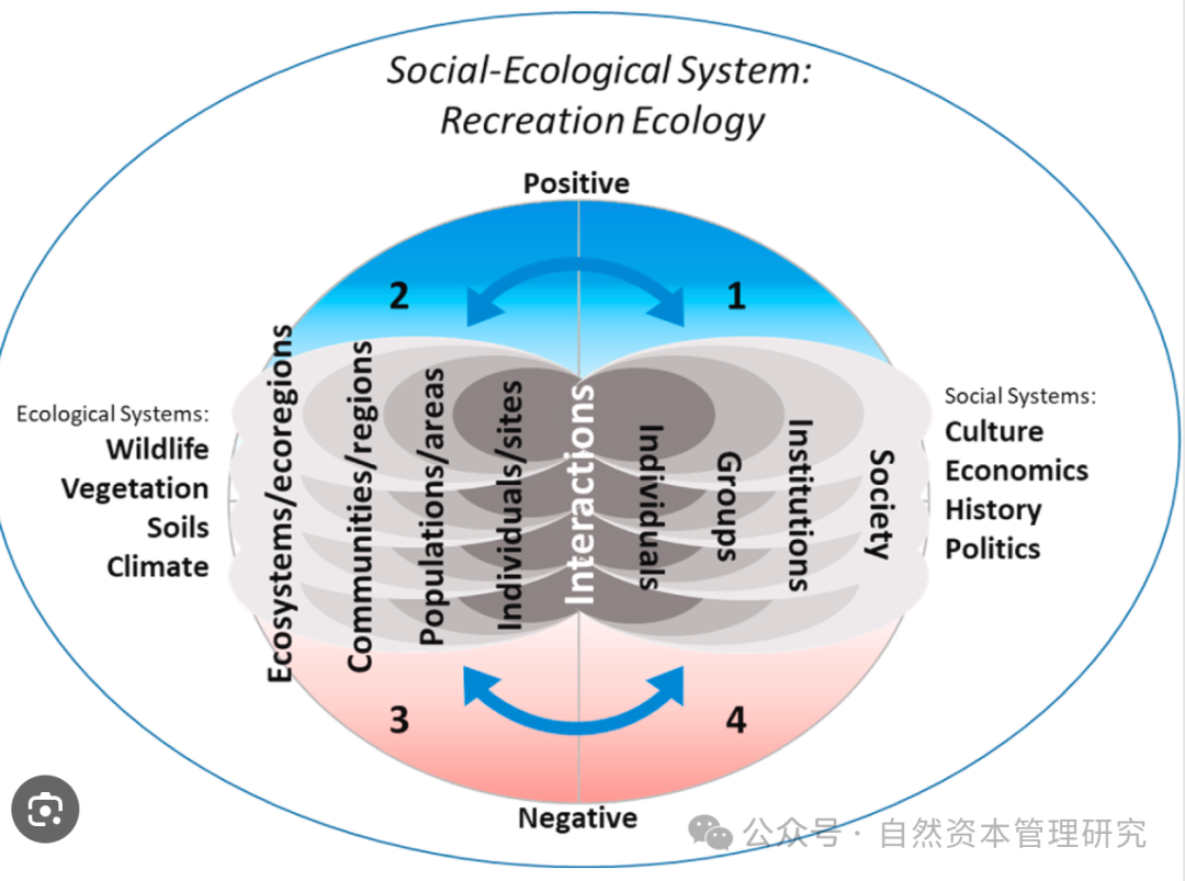 自然资本价值形成