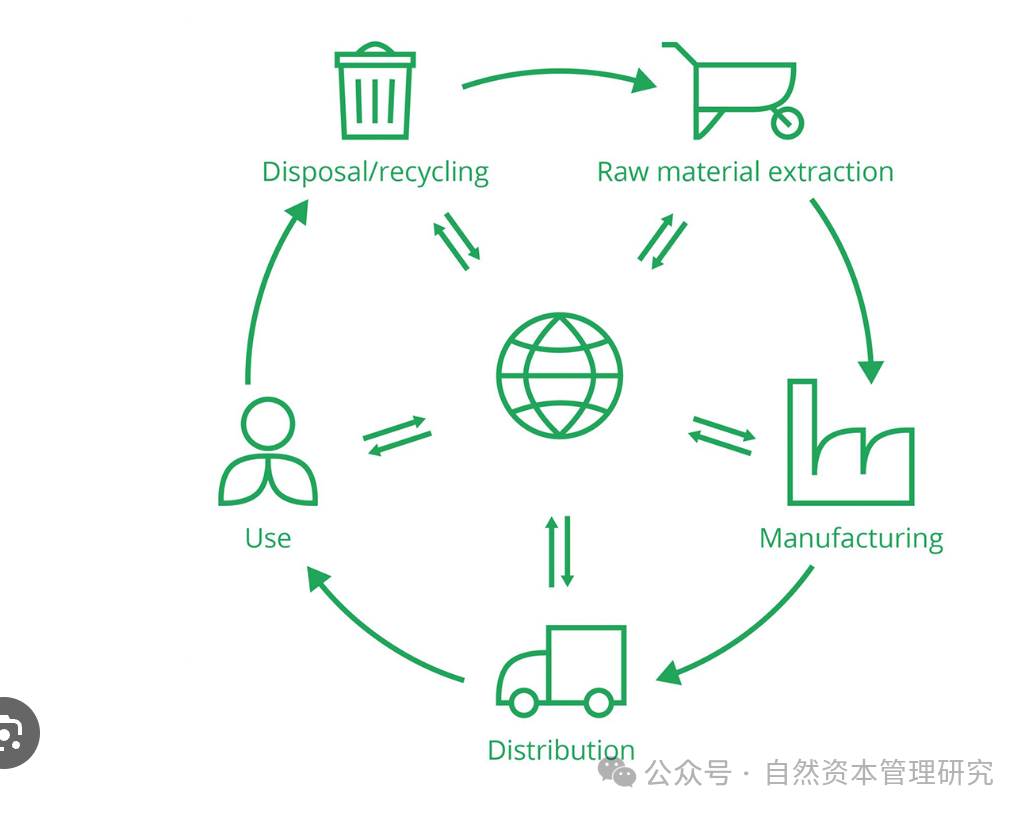 自然资本价值形成