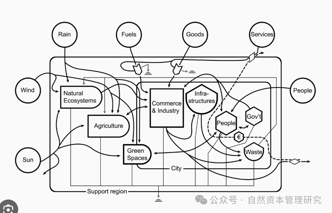 自然资本价值形成