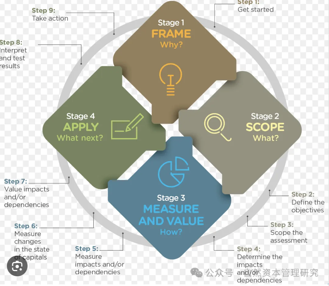 自然资本投资分析