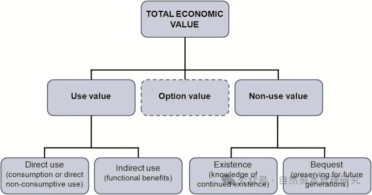 自然资本投资分析