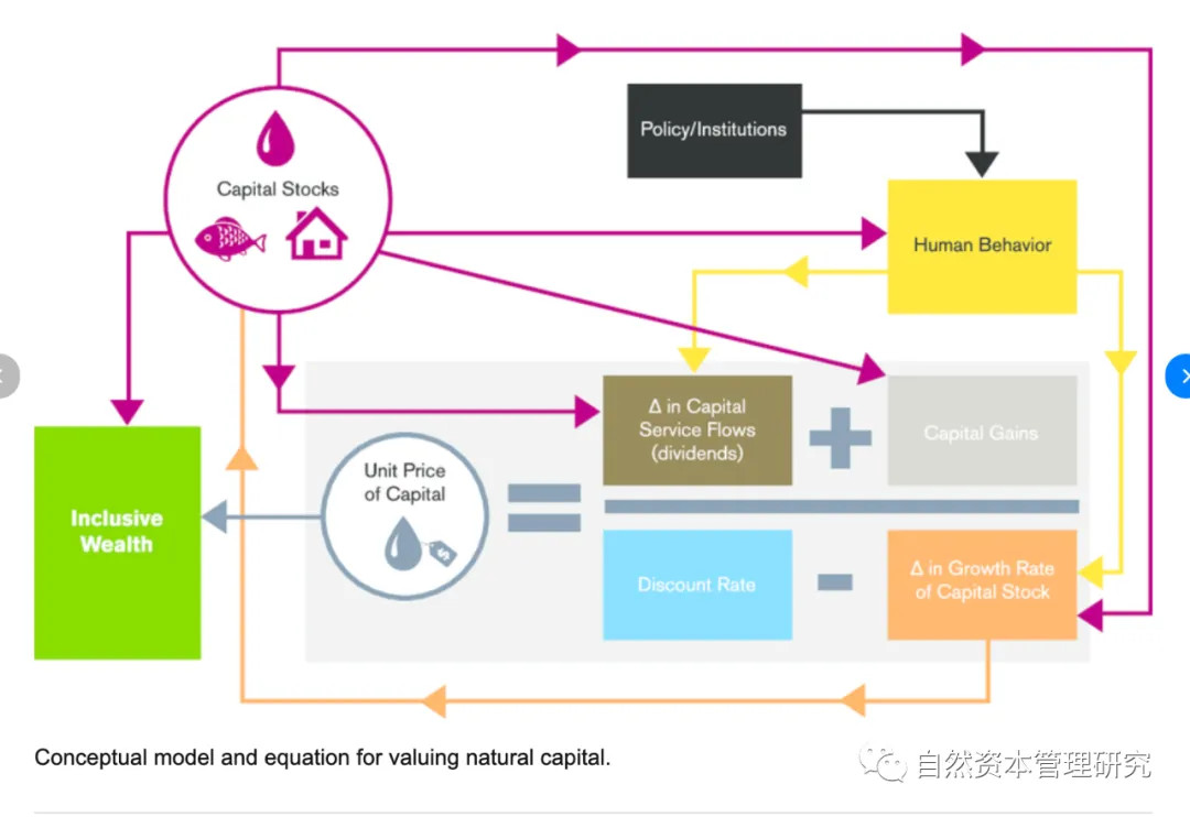 自然资本的计量和会计