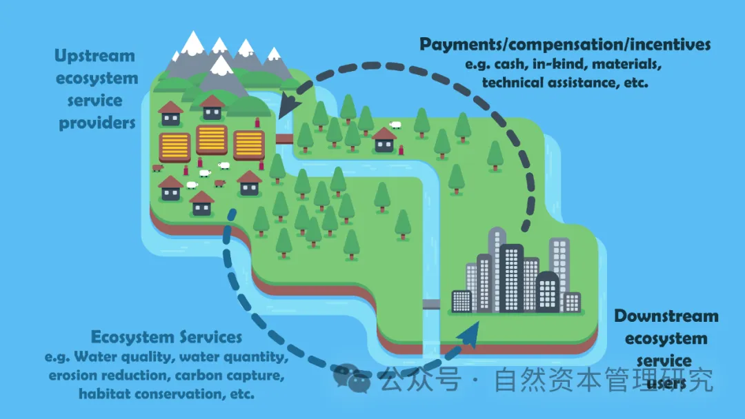 支付生态系统服务